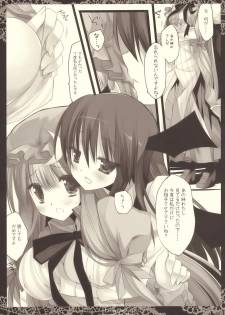 (C77) [D.N.A.Lab. (Miyasu Risa)] Lethal Dose (Touhou Project) - page 9
