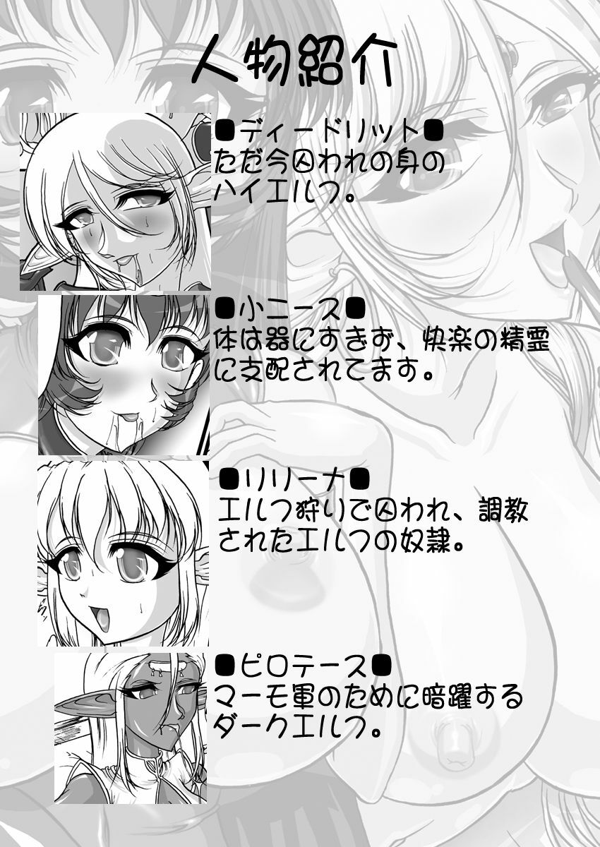 [SLW (Q1)] Aidorei Elf Senki 2 (Record of Lodoss War) [Digital] page 3 full
