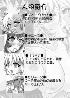 [SLW (Q1)] Aidorei Elf Senki 2 (Record of Lodoss War) [Digital] - page 3