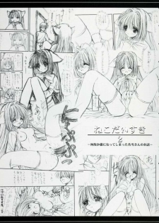 [Asyuraya (Kushida Ashura)] Nekonekohotto 2 EX (Kanon,Utawarerumono) - page 2