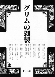 [Sakanaya Kadan] Vatican Violet - page 45
