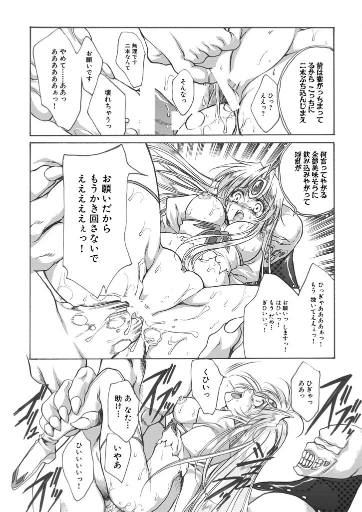 聖王妃 エルレイン（田宮秋人） Princess St page 16 full