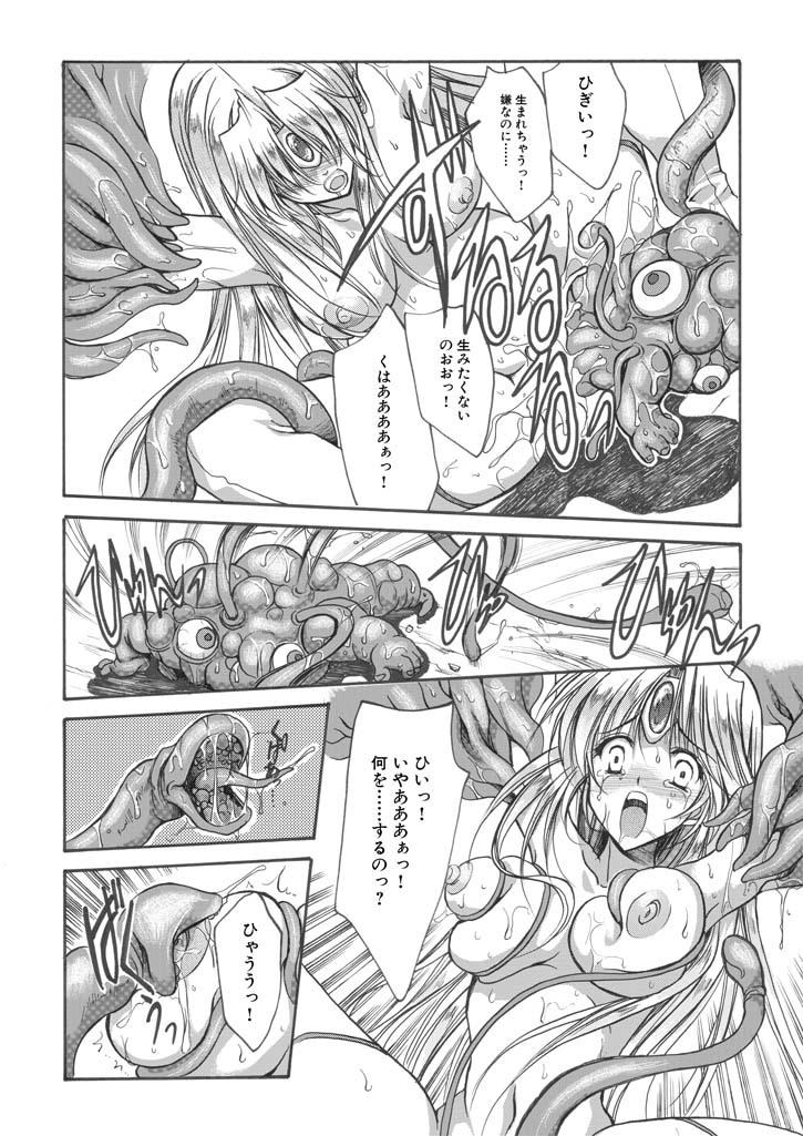 聖王妃 エルレイン（田宮秋人） Princess St page 19 full
