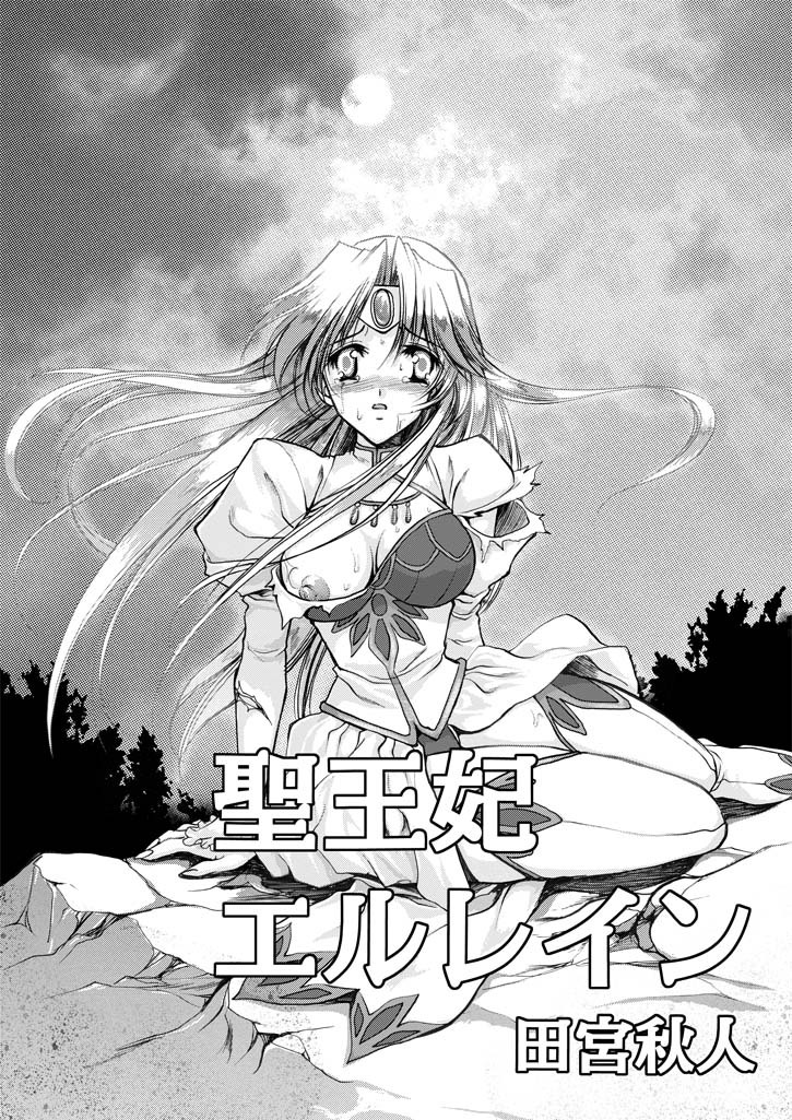 聖王妃 エルレイン（田宮秋人） Princess St page 3 full