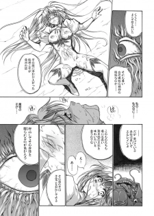 聖王妃 エルレイン（田宮秋人） Princess St - page 12