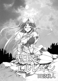 聖王妃 エルレイン（田宮秋人） Princess St - page 3