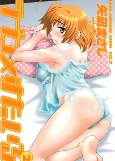 [Yanagi Masashi] Love Comedy Style 2 [English] [Solaris-H]