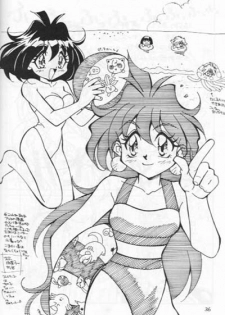 (C52) [Oideyasu Honpo] Minimum (Slayers) [English] - page 35