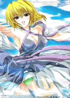 [FANTASY WIND (Shinano Yura)] FUWA+FUWA (Gundam SEED DESTINY) [Spanish]