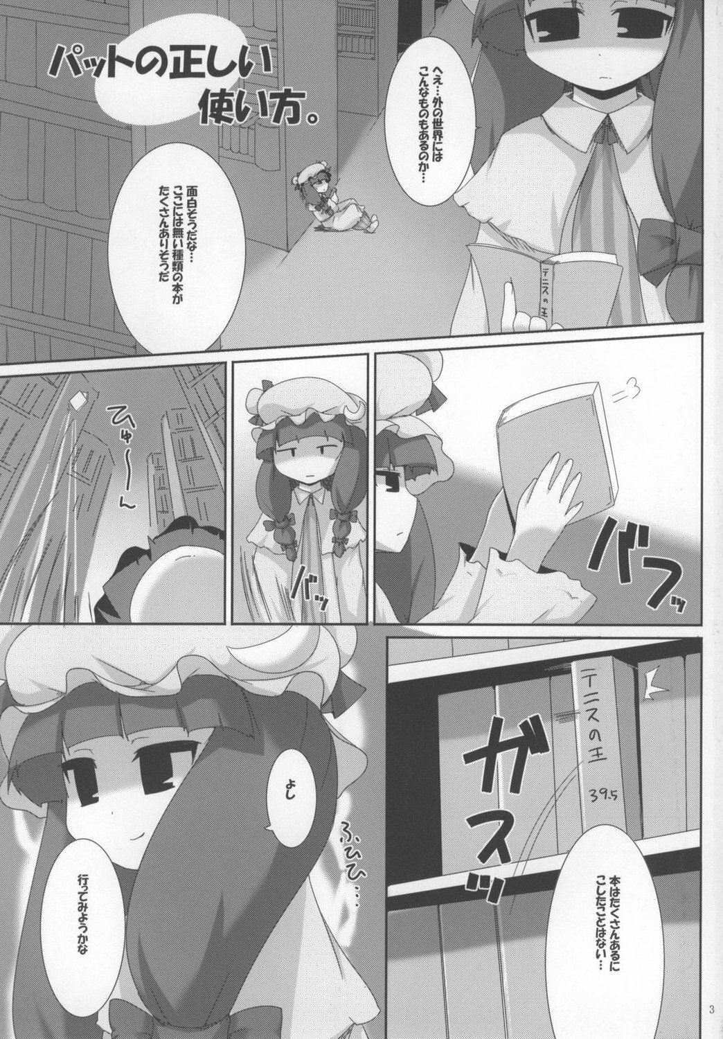 (C73) [Raiden Labo (Raiden)] Pad no Tadashii Tsukaikata, (Touhou Project) page 3 full