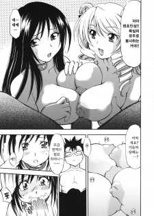 (COMIC1☆2) [Studio Wallaby (Nagisa Minami)] Troublekko ~Saki & Yui~ (To LOVE-Ru) [Korean] [Project H] - page 25