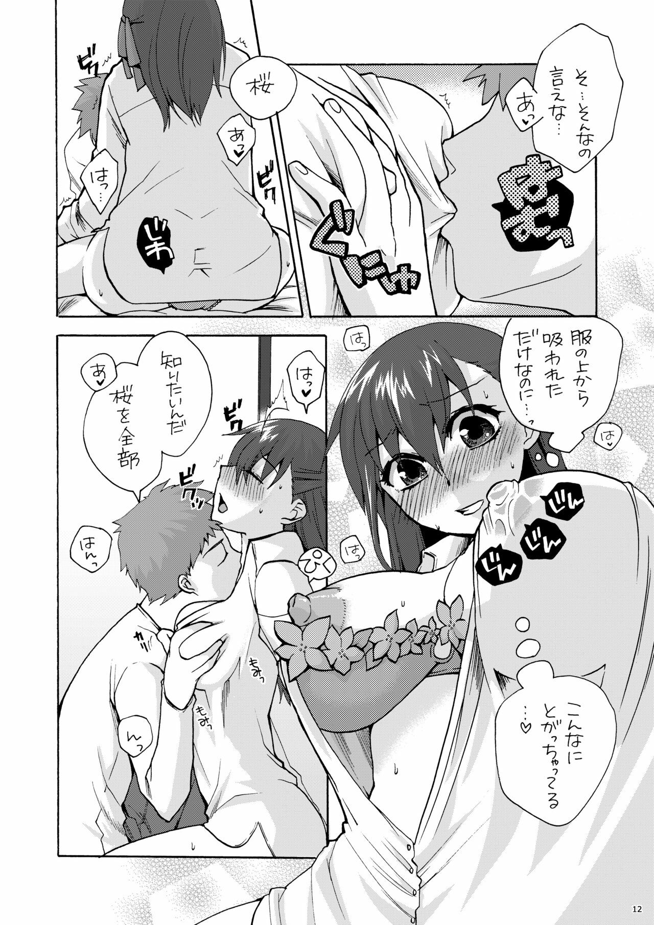 (C77) [TRIP SPIDER (niwacho)] Hitohira (Fate/stay night) page 11 full