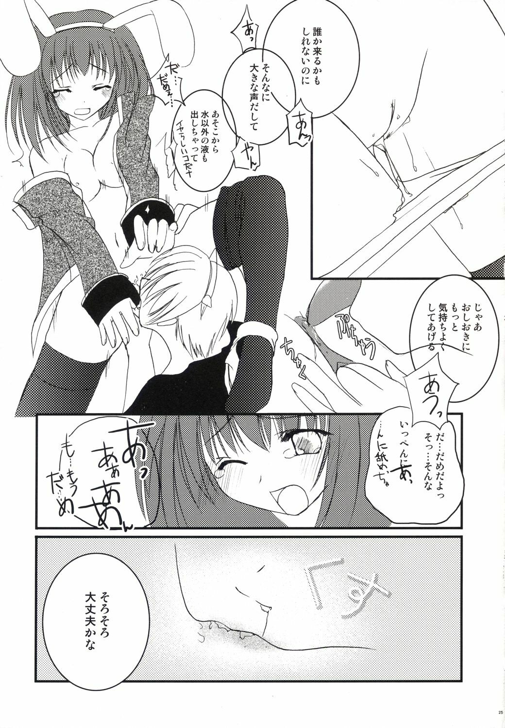 (C64) [LightRight (Natsukawa Sarasa)] Ako-tan Kishi-tan no Jijou ~Kabe Suru Gawa to Kabe Sareru Gawa no Kankei~ (Ragnarok Online) page 25 full
