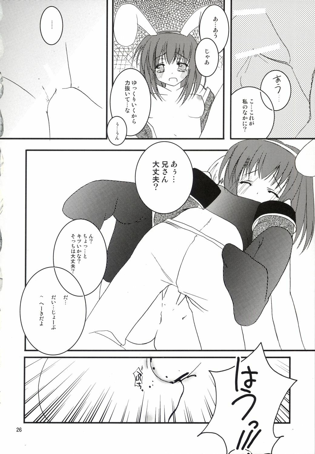(C64) [LightRight (Natsukawa Sarasa)] Ako-tan Kishi-tan no Jijou ~Kabe Suru Gawa to Kabe Sareru Gawa no Kankei~ (Ragnarok Online) page 26 full