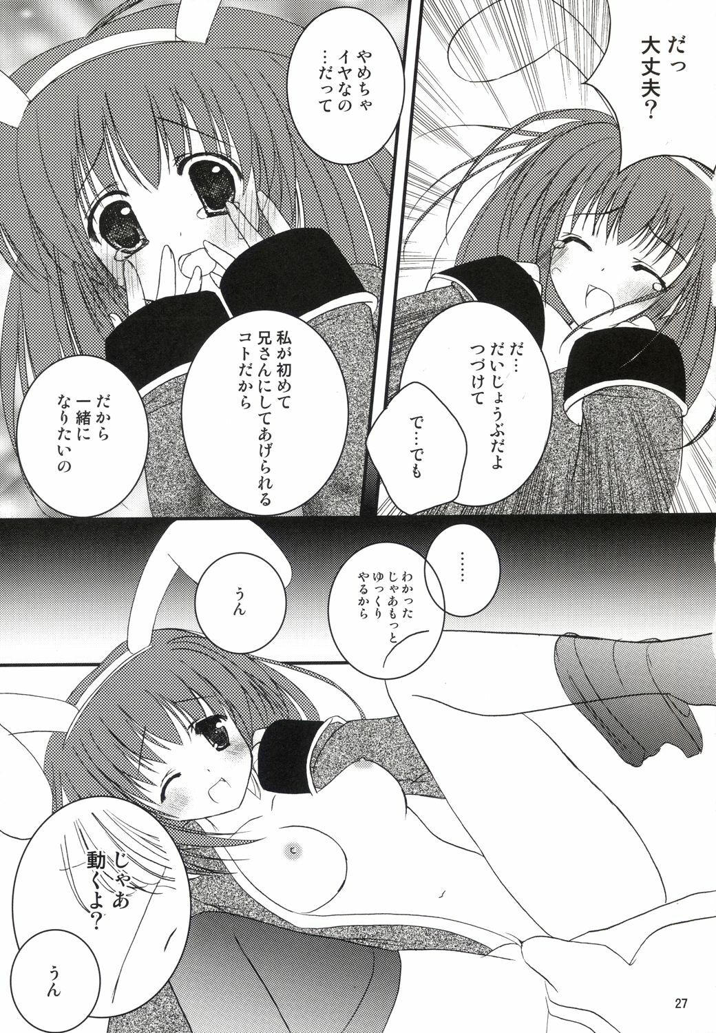 (C64) [LightRight (Natsukawa Sarasa)] Ako-tan Kishi-tan no Jijou ~Kabe Suru Gawa to Kabe Sareru Gawa no Kankei~ (Ragnarok Online) page 27 full