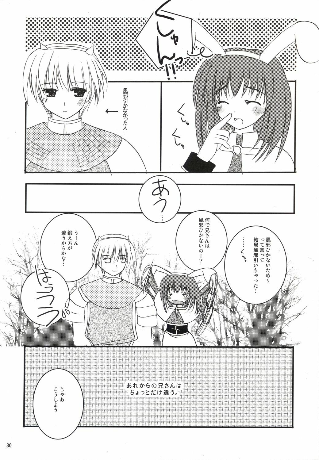 (C64) [LightRight (Natsukawa Sarasa)] Ako-tan Kishi-tan no Jijou ~Kabe Suru Gawa to Kabe Sareru Gawa no Kankei~ (Ragnarok Online) page 30 full