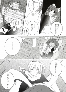 (C64) [LightRight (Natsukawa Sarasa)] Ako-tan Kishi-tan no Jijou ~Kabe Suru Gawa to Kabe Sareru Gawa no Kankei~ (Ragnarok Online) - page 23