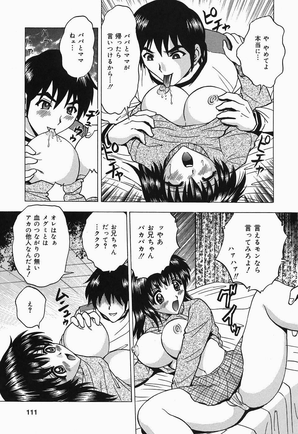 [Toyotama Tsukushi] Shitataru Shiruana page 111 full