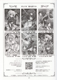 (SC38) [PLUM (Kanna)] Mahou Shoujo MAGICAL SEED JUSTICE (Mahou Shoujo Lyrical Nanoha) - page 24