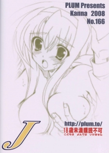 (SC38) [PLUM (Kanna)] Mahou Shoujo MAGICAL SEED JUSTICE (Mahou Shoujo Lyrical Nanoha) - page 26