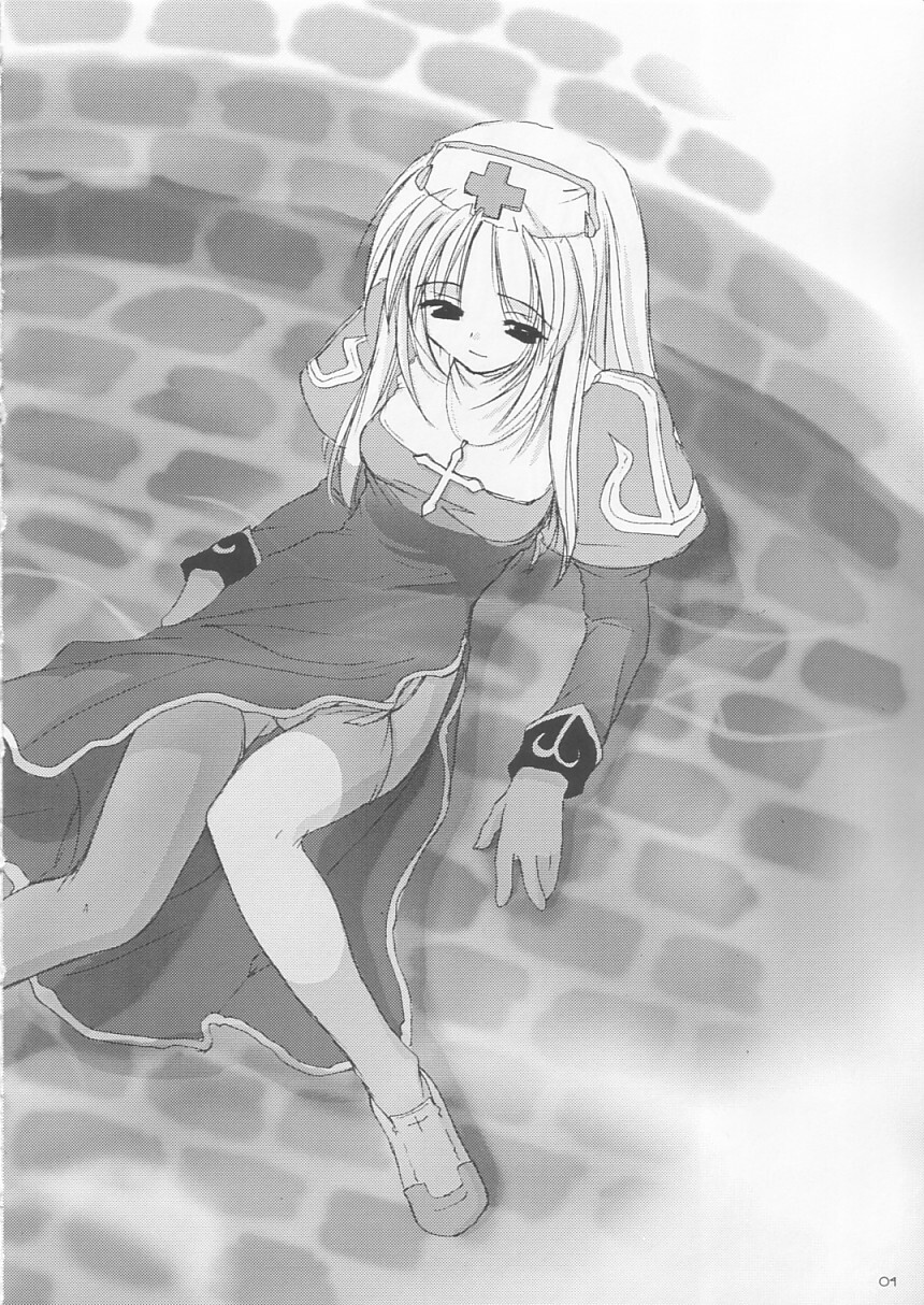 (C64) [Digital Lover (Nakajima Yuka)] D.L. action 18 (Ragnarok Online) page 3 full