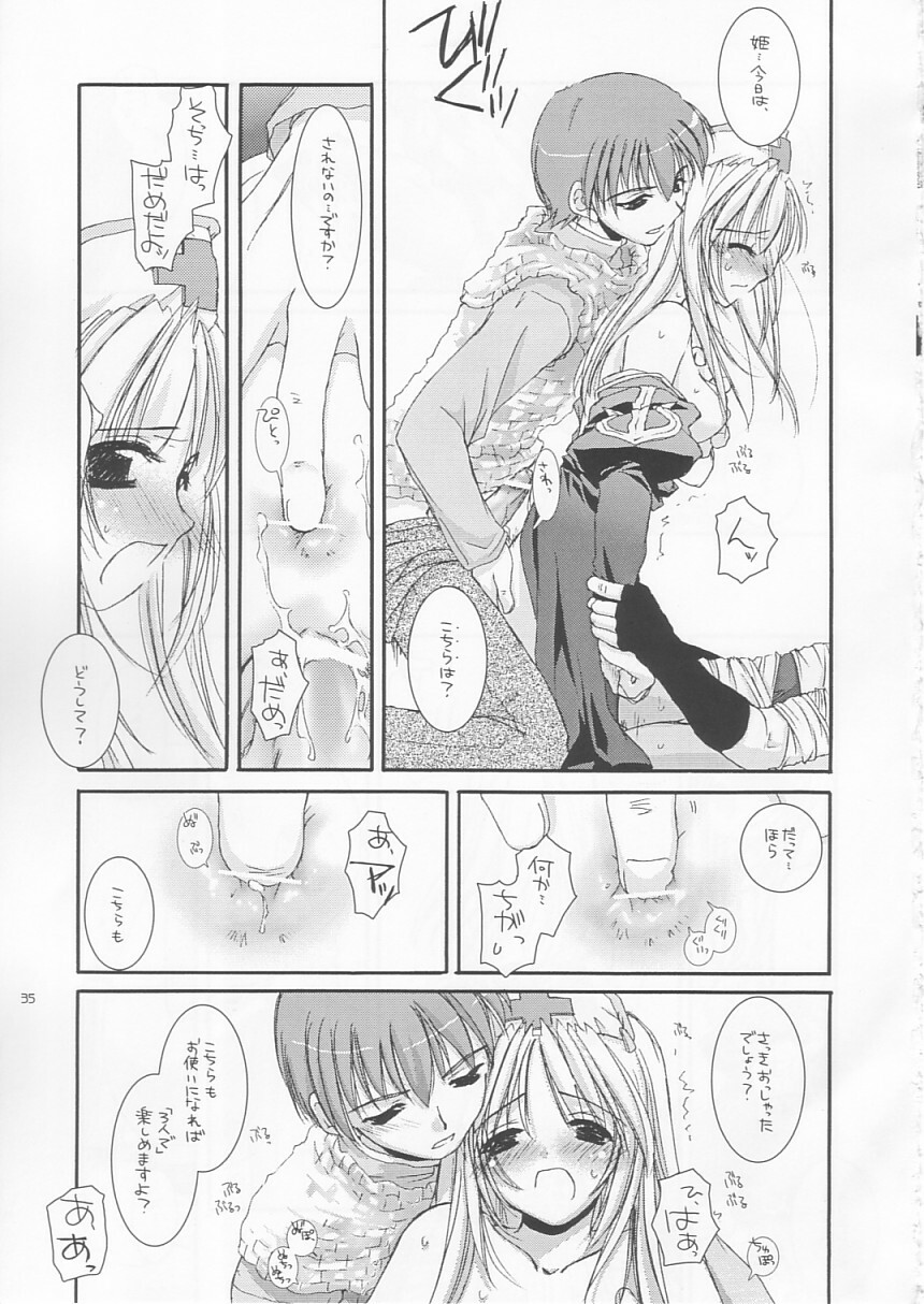(C64) [Digital Lover (Nakajima Yuka)] D.L. action 18 (Ragnarok Online) page 34 full