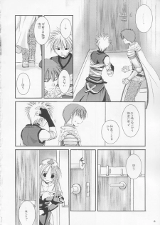 (C64) [Digital Lover (Nakajima Yuka)] D.L. action 18 (Ragnarok Online) - page 17