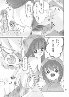 [Orange Peels (Ore P 1-gou, 2Gou)] Mahoutsukai vs. (Dragon Quest III) - page 34