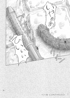 [Orange Peels (Ore P 1-gou, 2Gou)] Mahoutsukai vs. (Dragon Quest III) - page 35