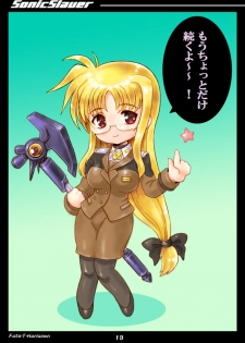 [Samurai Ikka] Sonic Slaver Full-burst (Mahou Shoujo Lyrical Nanoha StrikerS) - page 13