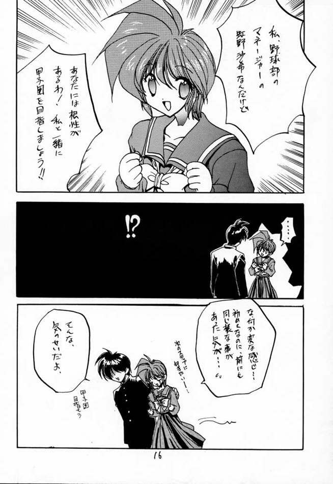 [ZINZIN (Hagure Metal)] DokiDoki Memorial Private Album (Tokimeki Memorial) page 15 full