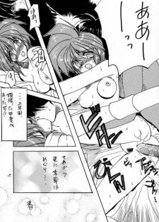 [ZINZIN (Hagure Metal)] DokiDoki Memorial Private Album (Tokimeki Memorial) - page 14