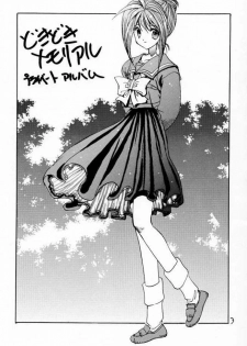[ZINZIN (Hagure Metal)] DokiDoki Memorial Private Album (Tokimeki Memorial) - page 2