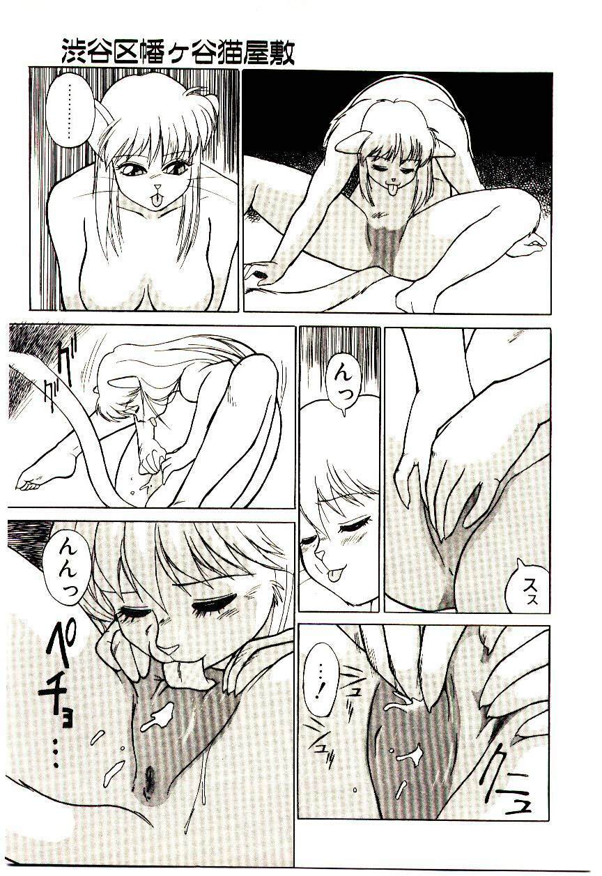 [Trump] Shibuya-ku Hatagaya Neko-Yashiki page 128 full