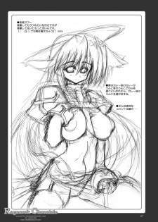 (C68) [Kikyakudou (Karateka Value)] Ragnarok Chronicle (Ragnarok Online) - page 26