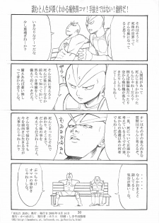 (C68) [Katsuobushi (Horie)] BILLIE JEAN (Mai-HiME) - page 29