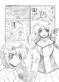 (C69) [WILD KINGDOM (Sensouji Kinoto)] From A to Z (Gundam SEED DESTINY) - page 23