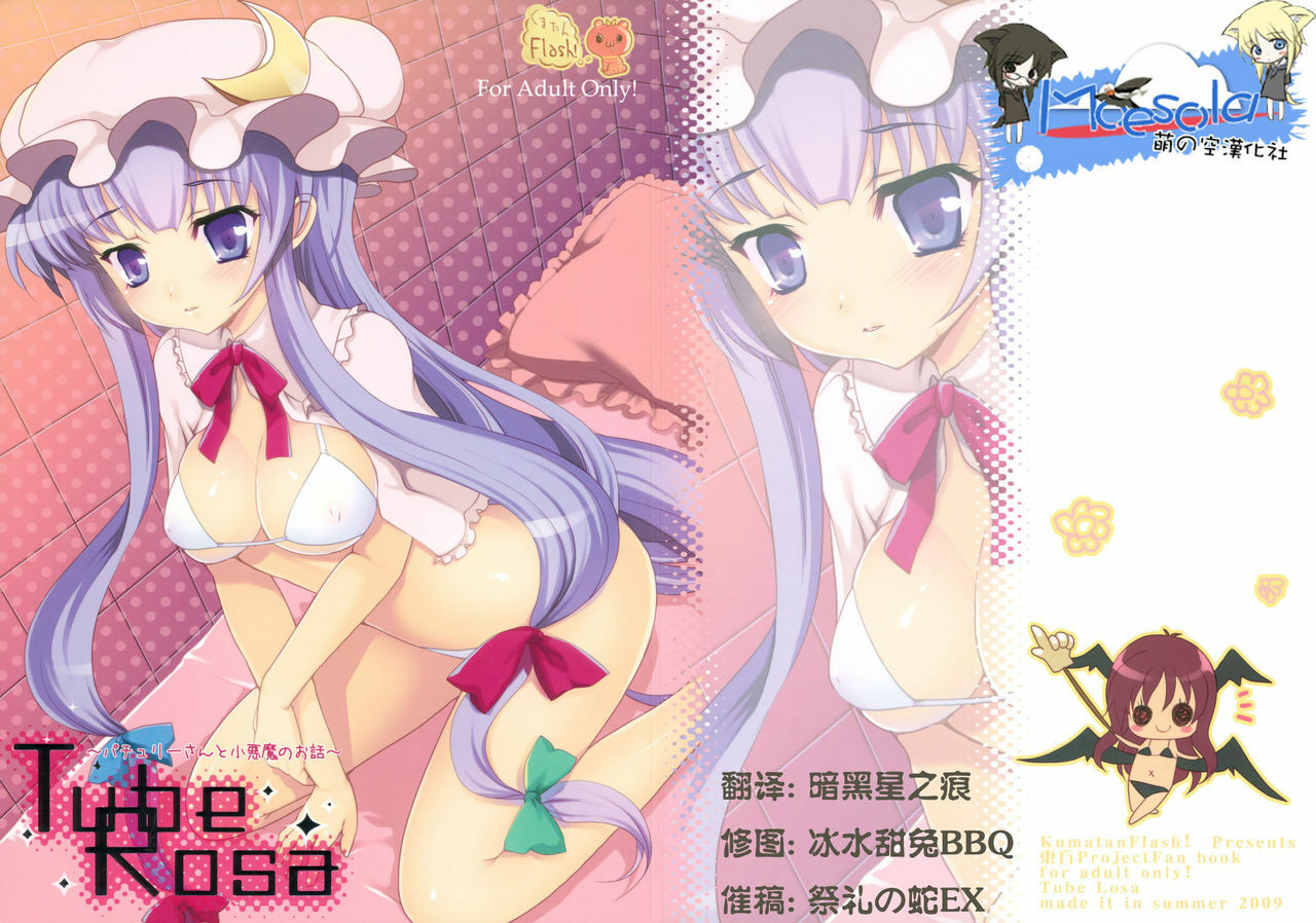 (C76) [Kuma-tan Flash! (Hanao)] Tube Rose (Touhou Project) [Chinese] [萌の空漢化社] page 2 full