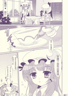 (C76) [Kuma-tan Flash! (Hanao)] Tube Rose (Touhou Project) [Chinese] [萌の空漢化社] - page 3