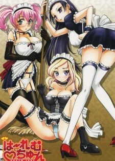 [Takaoka Motofumi] Harem Tune Genteiban - page 11