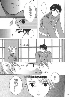 (C66) [Reongumi (Kaneda Reon)] Doko ka Hukai Tokoro (Fullmetal Alchemist) - page 14