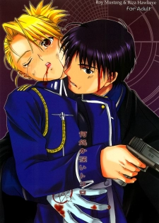 (C66) [Reongumi (Kaneda Reon)] Doko ka Hukai Tokoro (Fullmetal Alchemist)