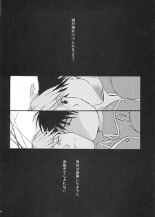 (C66) [Reongumi (Kaneda Reon)] Doko ka Hukai Tokoro (Fullmetal Alchemist) - page 23