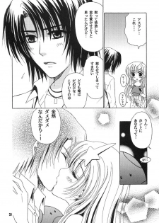 [Alyder (Takahashi Jinrai)] A*M date (Gundam SEED DESTINY) - page 19