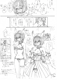 (COMIC1☆4) [ZINZIN] At GOBLIN The FakeServer Vol.6 (FF11) - page 6