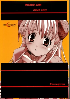 (C66) [Perceptron (Asaga Aoi)] Ingrid Jam (Street Fighter, Final Fight) - page 30