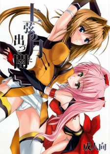 (C74) [Veronica no Ha (Noba)] Juugen no Tsuki no Izuru Yami (Beat Blades Haruka)