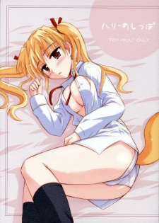 (C68) [Heppoko Youchien (Haruemon)] Harry no Shippo (School Rumble, Onegai My Melody)