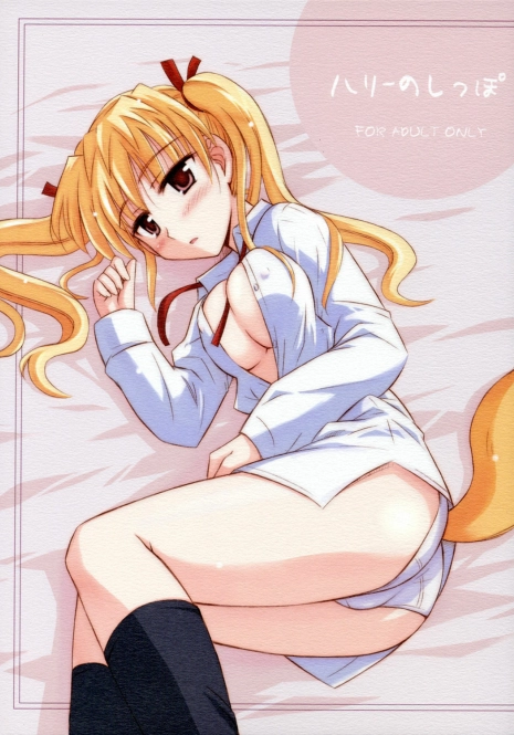 (C68) [Heppoko Youchien (Haruemon)] Harry no Shippo (School Rumble, Onegai My Melody)