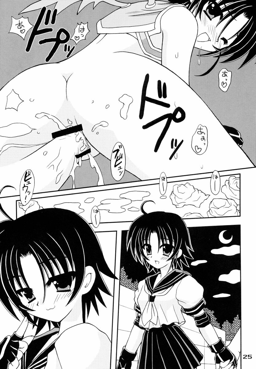 (C67) [PINK VISION (Tsuzuki Masaki)] Shippuu Otome (Various) page 24 full